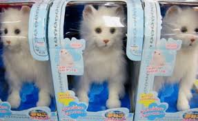 robot cat