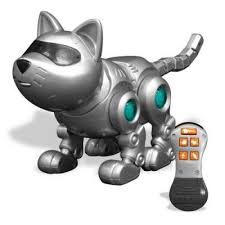 remote control cats