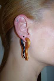 gauged earrings