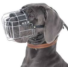 dog basket muzzles