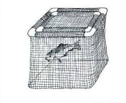 fish cage