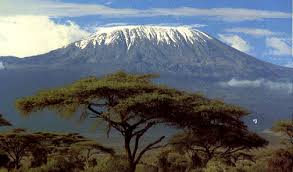 kilimanjaro photo