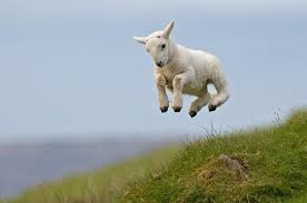 spring has sprung