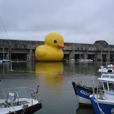 rubber duck