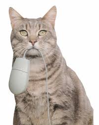 cat and the mouse
