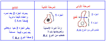 صور توضيح dna Aa