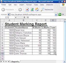 excel reports