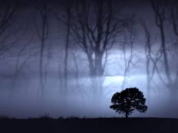 http://t0.gstatic.com/images?q=tbn:u2rwx3XkyWv2IM:http://espacoj.blogs.sapo.pt/arquivo/bosque2.jpg