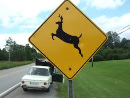 deer warning
