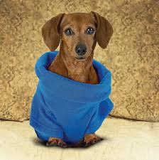 snuggy blanket