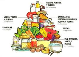 la piramide alimentaria