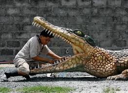 les croco