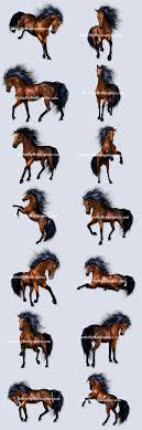 wild horse clipart