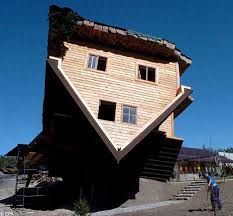 kuce slike
