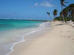 st. kitts