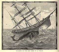 essex whale ship