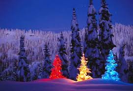 christmas trees lights