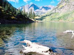 Wild Colorado