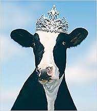 dairy queen by catherine gilbert murdock