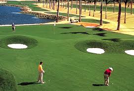 golf pictures