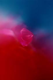 red colour