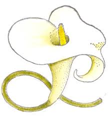 calla lily stamp