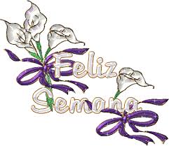 jose feliz ribas