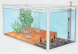 aquarium undergravel filter
