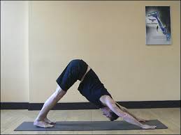 yoga downward dog
