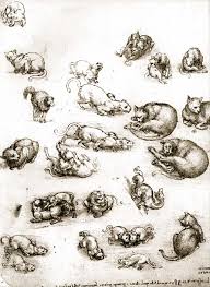 drawings of cats
