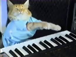 keyboard cat