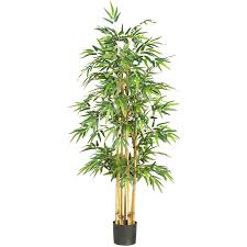 bamboo silk