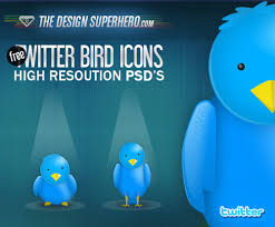 twitter bird icon