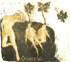 ginseng pictures