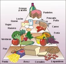 la piramide alimentaria