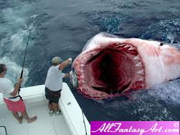 megalodon