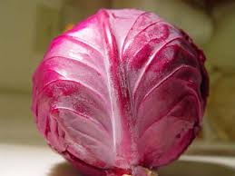  () cabbage.jpg