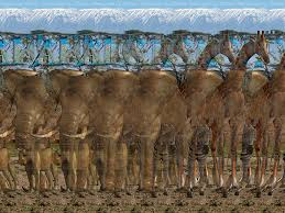 stereogram posters