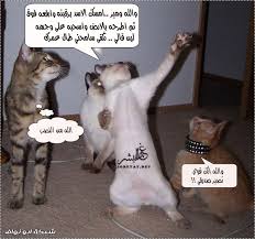 http://t0.gstatic.com/images?q=tbn:uu4U5yKs5-JqRM:http://forum.asr1r.com/imgcache2/30213.gif