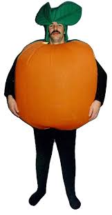 orange fruit costume