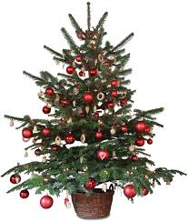 sapin de noel
