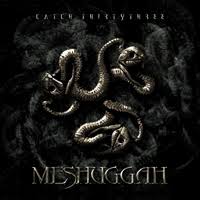 catch 33 meshuggah