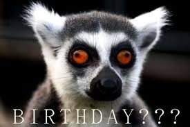 [Image: Lemur+birthday.jpg]