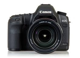canon d mark