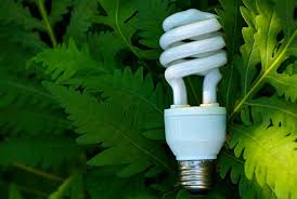 eco friendly lights