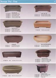 bonsai containers