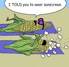 funny cartoon pics