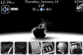 blackberry bold home screen