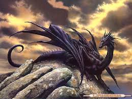 dragon negro