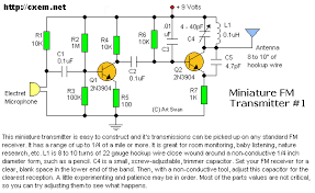 fm transmitter bug